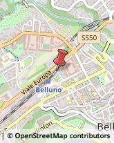 Associazioni Sindacali Belluno,32100Belluno