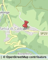 Vendite per Corrispondenza Selva di Cadore,32020Belluno