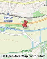 Aziende Agricole Levico Terme,38056Trento