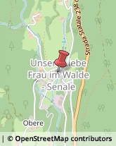 Fabbri Senale-San Felice,39010Bolzano