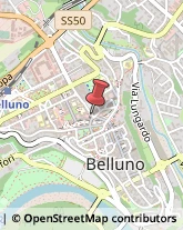 Notai Belluno,32100Belluno