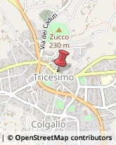 Macellerie Tricesimo,33019Udine