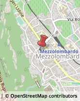 Aziende Agricole Mezzolombardo,38017Trento