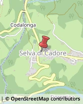 Trasporto Pubblico Selva di Cadore,32020Belluno