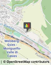 Autofficine e Centri Assistenza Monguelfo-Tesido,39035Bolzano