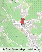 Articoli Sportivi - Dettaglio,39019Bolzano