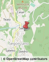 Consulenza Informatica Segonzano,38047Trento