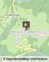 Comuni e Servizi Comunali Selva di Cadore,32020Belluno