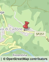 Farmacie Selva di Cadore,32020Belluno