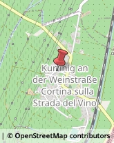 Giardinaggio - Servizio Cortina sulla Strada del Vino,39040Bolzano