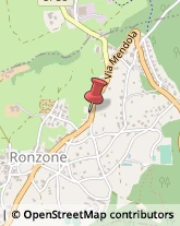 Autofficine e Centri Assistenza Ronzone,38011Trento