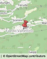 Agenzie Immobiliari Faedo Valtellino,23020Sondrio