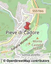 Vivai Piante e Fiori Pieve di Cadore,32044Belluno