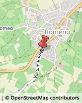 Trasporto Pubblico Romeno,38010Trento