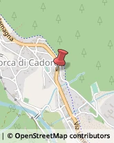 Porti e Servizi Portuali Borca di Cadore,32040Belluno