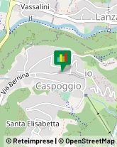 Aziende Agricole Caspoggio,23020Sondrio