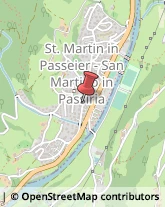 Piante e Fiori - Dettaglio San Martino in Passiria,39010Bolzano