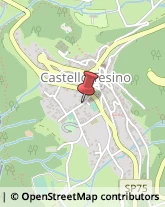 Agenzie di Vigilanza e Sorveglianza Castello Tesino,38053Trento