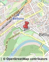 Pubblicità - Agenzie e Studi Belluno,32100Belluno