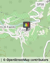 Autotrasporti Faedo,38010Trento