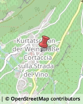 Agenti e Rappresentanti di Commercio Cortaccia sulla Strada del Vino,39040Bolzano