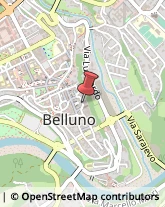 Studi Consulenza - Amministrativa, Fiscale e Tributaria Belluno,32100Belluno