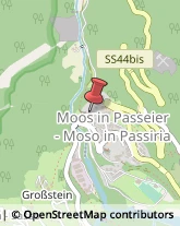Piante e Fiori - Dettaglio Moso in Passiria,39013Bolzano