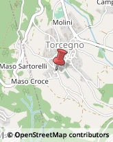Autotrasporti Torcegno,38050Trento