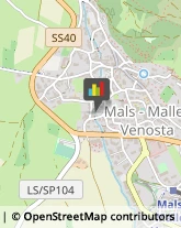 Bestiame - Allevamento e Commercio Malles Venosta,39024Bolzano