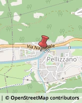 Imprese Edili Pellizzano,38020Trento