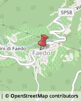 Comuni e Servizi Comunali Faedo,38010Trento