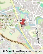Biotecnologie Udine,33100Udine