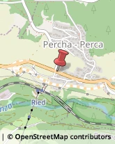 Porte Perca,39030Bolzano