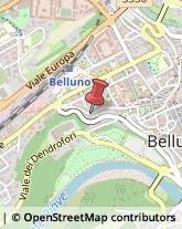 Importatori ed Esportatori Belluno,32100Belluno