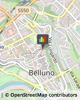 Istituti di Bellezza Belluno,32100Belluno