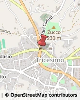 Modellismo Tricesimo,33019Udine