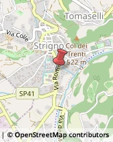 Associazioni Sindacali Strigno,38059Trento