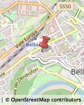 Assicurazioni Belluno,32100Belluno