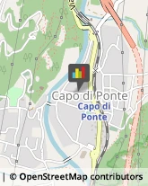 Piante e Fiori - Dettaglio Capo di Ponte,25044Brescia