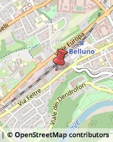 Psicologi Belluno,32100Belluno