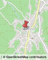 Aziende Agricole Tuenno,38019Trento