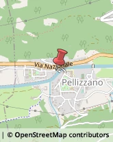 Agenzie di Animazione e Spettacolo Pellizzano,38020Trento