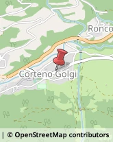 Agenzie Immobiliari Corteno Golgi,25040Brescia