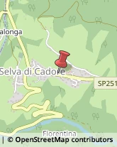 Prodotti da Snack Selva di Cadore,32020Belluno