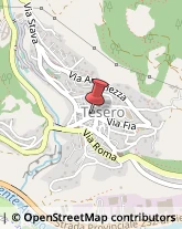 Assicurazioni Tesero,38038Trento