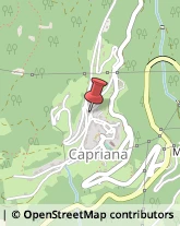 Vigili del Fuoco Capriana,38030Trento