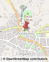 Pescherie Tricesimo,33019Udine