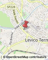 Veterinaria - Ambulatori e Laboratori Levico Terme,38056Trento