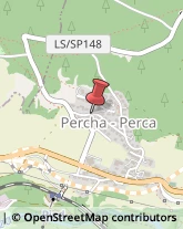 Pavimenti in Legno Perca,39030Bolzano