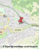 ,23032Sondrio